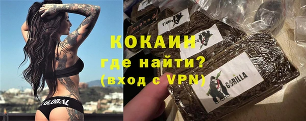 стаф Алзамай