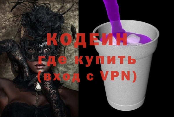 стаф Алзамай