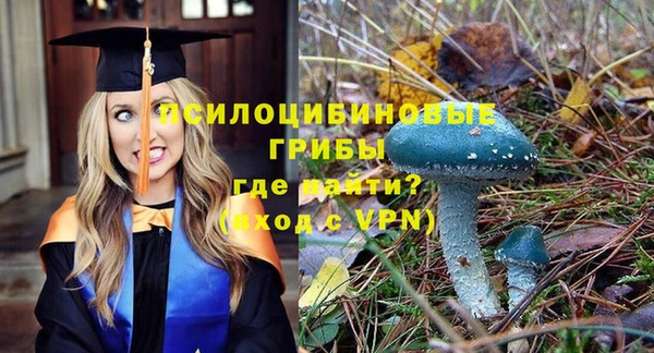 молекула духа Аркадак