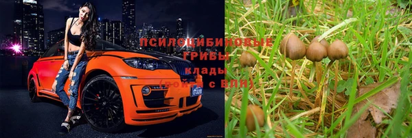 прущая мука Алексеевка
