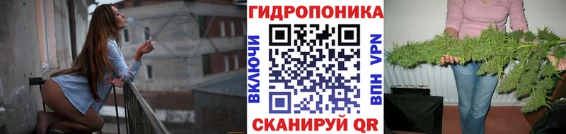 Бошки Шишки AK-47 blacksprut ССЫЛКА Бежецк